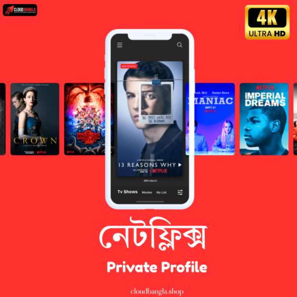 Netflix Private Profile 4K